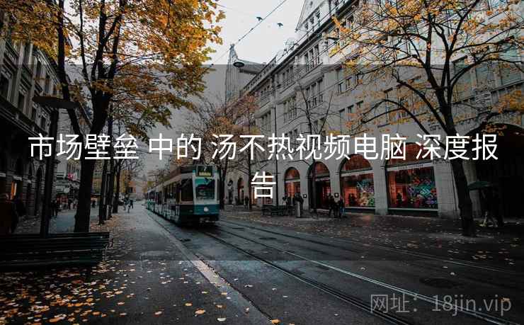 市场壁垒 中的 汤不热视频电脑 深度报告 市场壁垒 中的 汤不热视频电脑 深度报告
