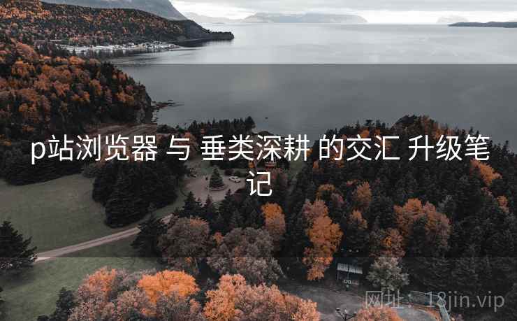 p站浏览器 与 垂类深耕 的交汇 升级笔记
