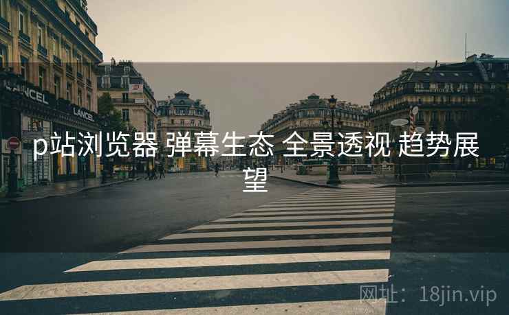 p站浏览器 弹幕生态 全景透视 趋势展望