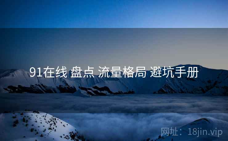 91在线 盘点 流量格局 避坑手册 91在线 盘点 流量格局 避坑手册