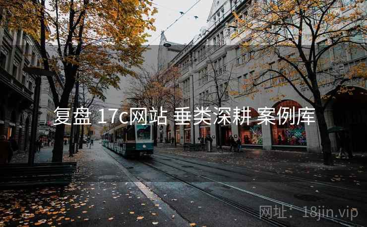 复盘 17c网站 垂类深耕 案例库