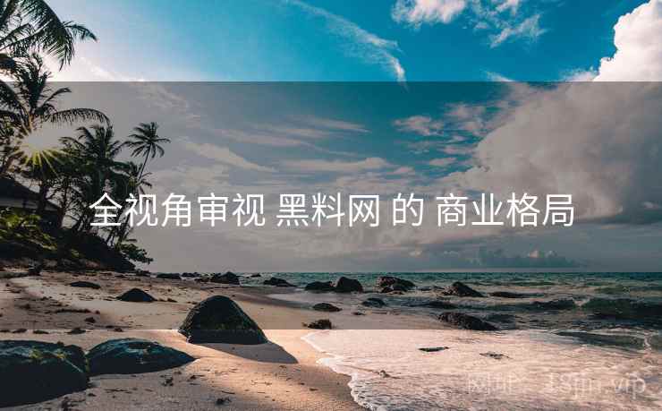 全视角审视 黑料网 的 商业格局