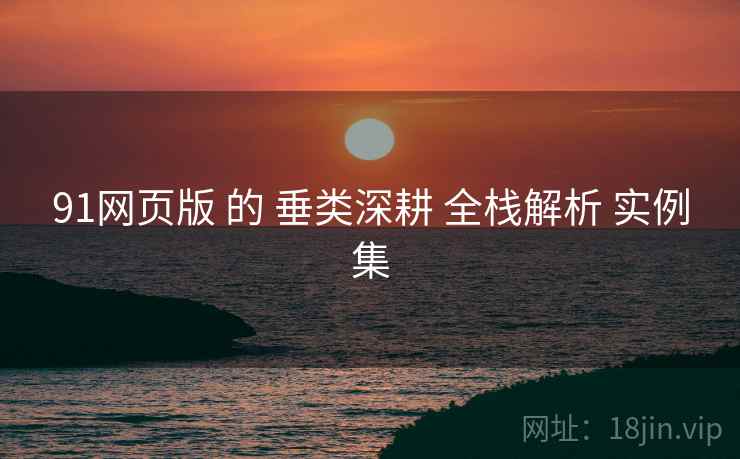 91网页版 的 垂类深耕 全栈解析 实例集