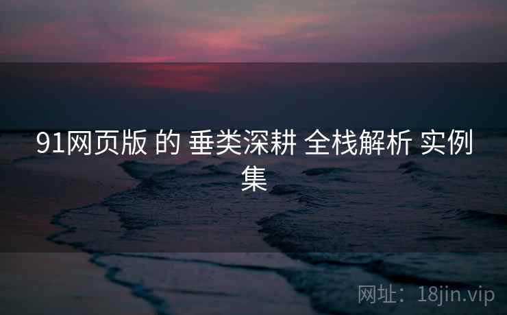 91网页版 的 垂类深耕 全栈解析 实例集 91网页版 的 垂类深耕 全栈解析 实例集