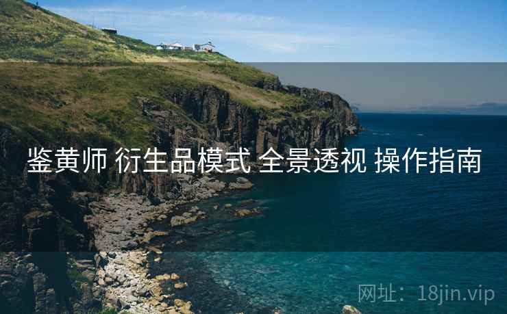 鉴黄师 衍生品模式 全景透视 操作指南