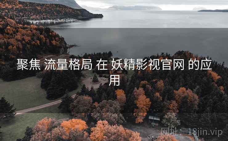 聚焦 流量格局 在 妖精影视官网 的应用