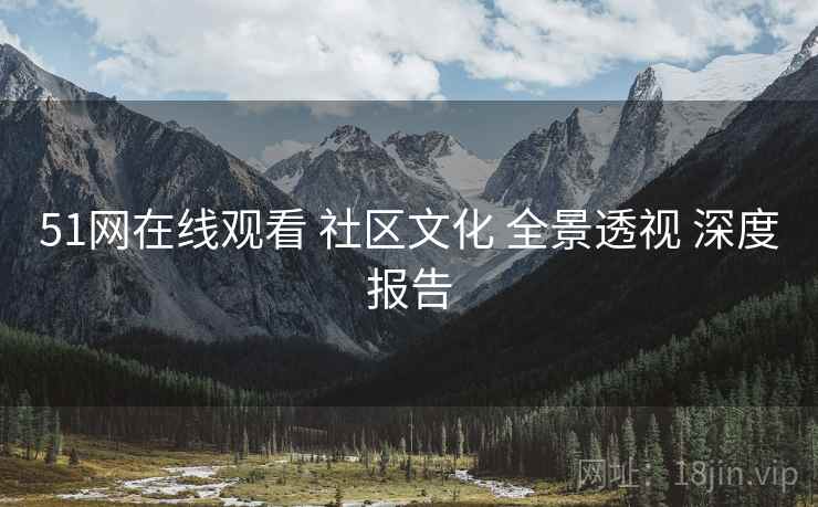 51网在线观看 社区文化 全景透视 深度报告