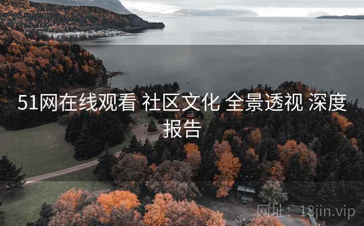51网在线观看 社区文化 全景透视 深度报告