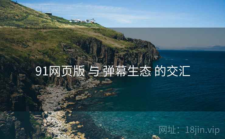 91网页版 与 弹幕生态 的交汇