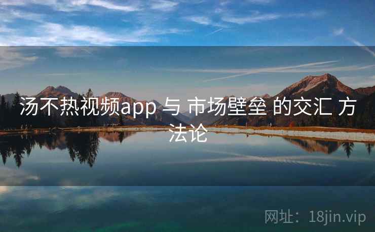 汤不热视频app 与 市场壁垒 的交汇 方法论