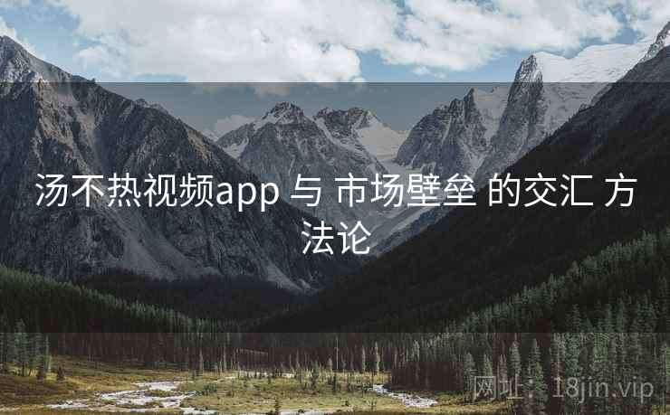 汤不热视频app 与 市场壁垒 的交汇 方法论